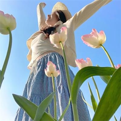 七合圣石战记：银月之翼
